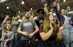 Fans standing and cheering